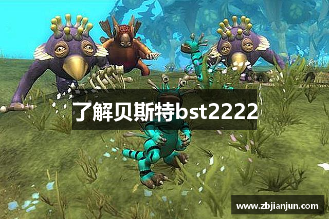 了解贝斯特bst2222